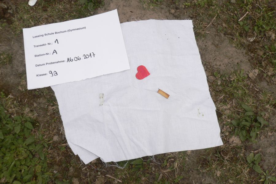 Fundbild der Gruppe Klasse 9a Lessing Schule Bochum