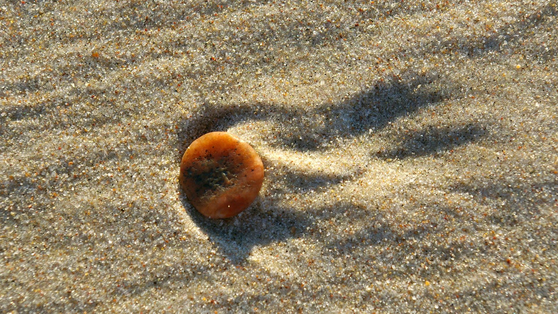 Foto, das einen Bernstein im Sand zeigt.