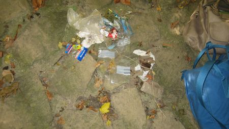 Fundbild der Gruppe Biokurs St. Leonhard Gymnasium