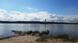 Schätze aus der Blauen Apotheke – Alternative zu Antibiotika