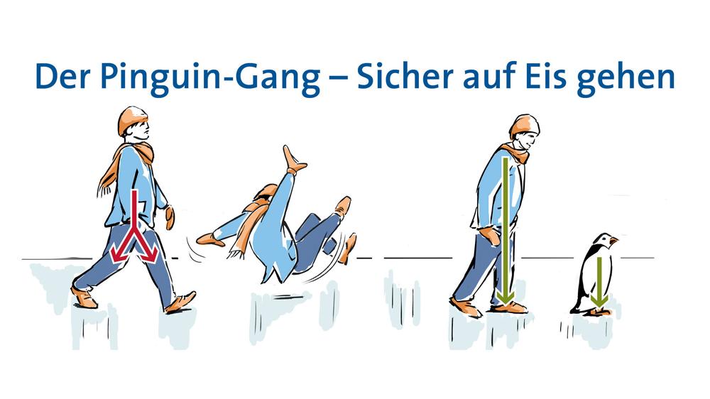 Gezeichnete Grafik des Pinguin-Gangs, Deutsche Gesellschaft für Orthopädie und Unfallchirurgie Gezeichnete Grafik des Pinguin-Gangs, Deutsche Gesellschaft für Orthopädie und Unfallchirurgie