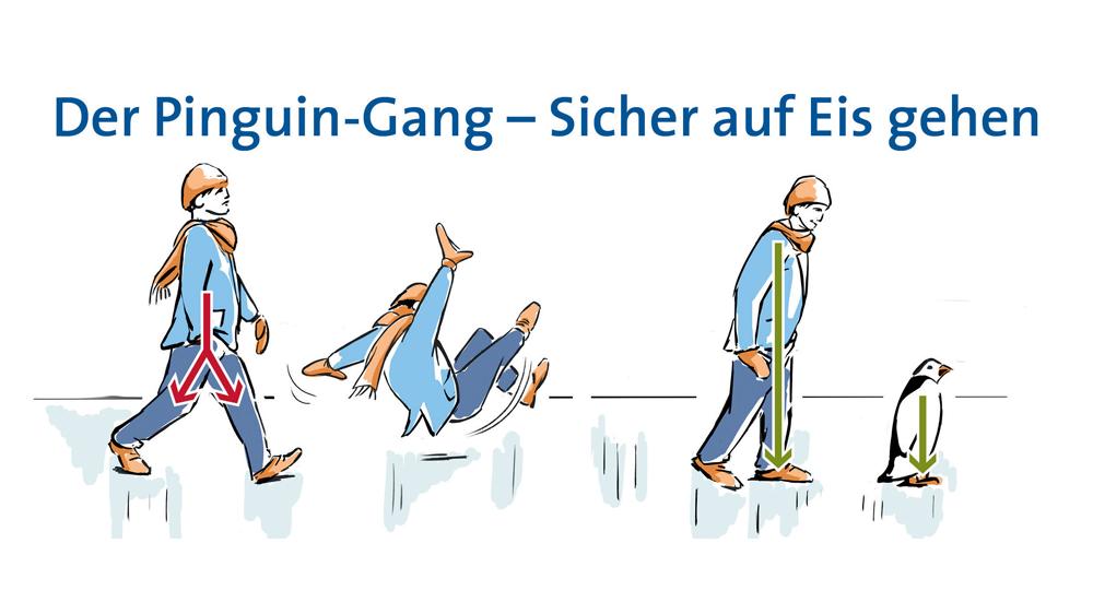 Gezeichnete Grafik des Pinguin-Gangs, Deutsche Gesellschaft für Orthopädie und Unfallchirurgie