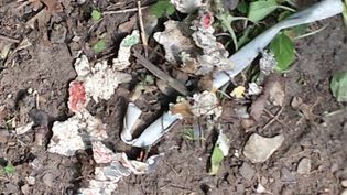 Fundbild der Gruppe 5f SSG Hamm