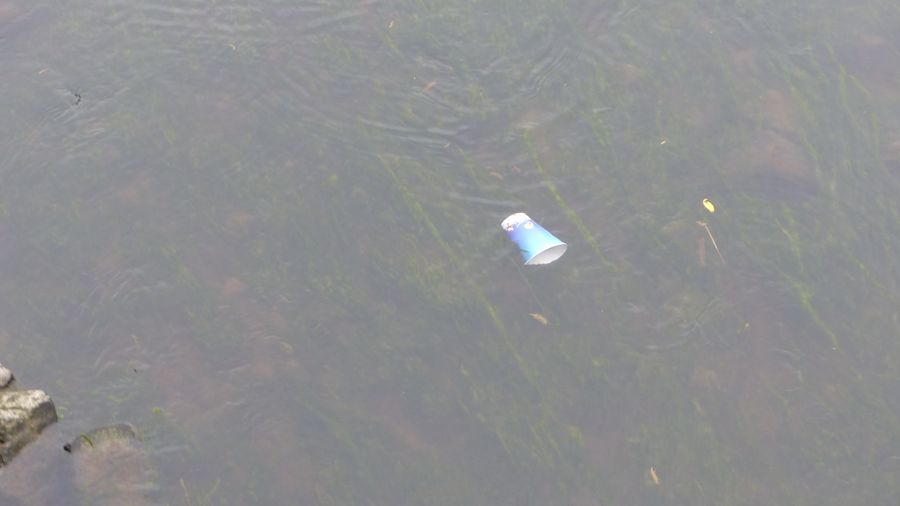 Fundbild der Gruppe Werra Cherries