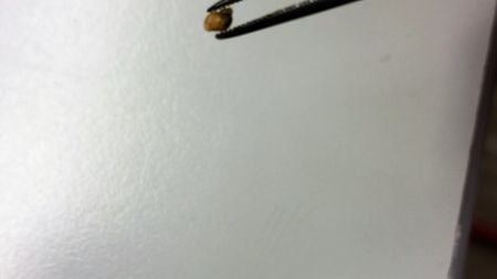 Fundbild der Gruppe Plastikpiraten der BBG