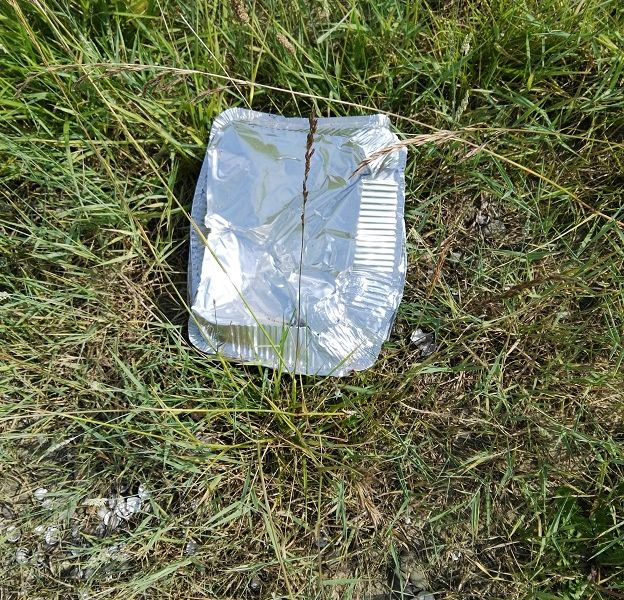 Fundbild der Gruppe Mint-Klasse 7c