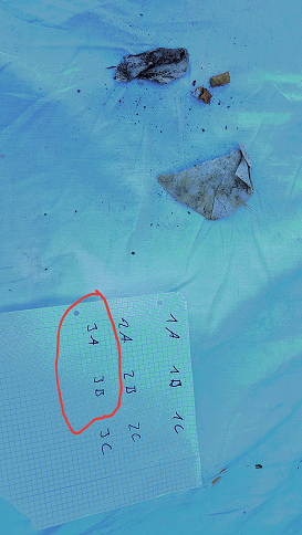 Fundbild der Gruppe  8c