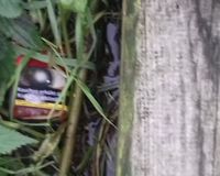 Fundbild der Gruppe TrashBusters