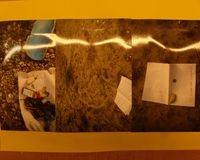 Fundbild der Gruppe DIE WOLPERTINGER