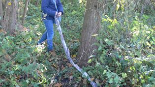 Fundbild der Gruppe Peeneschule Klasse 5