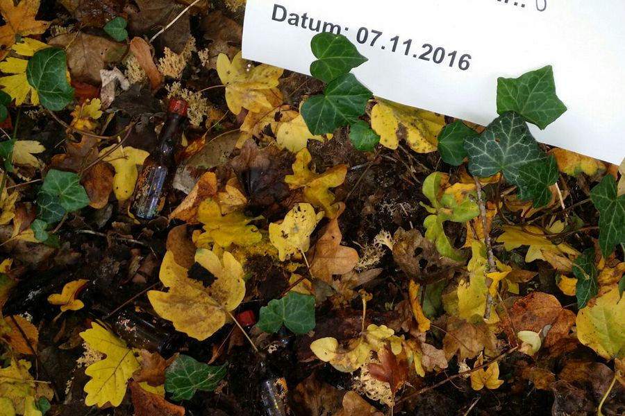 Fundbild der Gruppe Klasse 10d