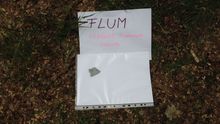 Fundbild der Gruppe FLUM