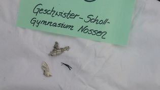 Fundbild der Gruppe GSG 9-1