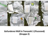 Fundbild der Gruppe Braunschweiger Bären