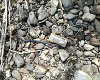 Fundbild der Gruppe Nonnenwerther Rheinpiraten