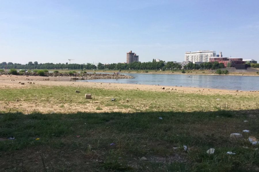 Fundbild der Gruppe Deutzländer Thusnelda Gymnasium