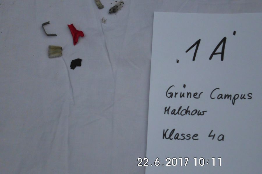 Fundbild der Gruppe Die Umweltschützer