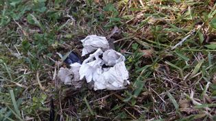 Fundbild der Gruppe 5f SSG Hamm