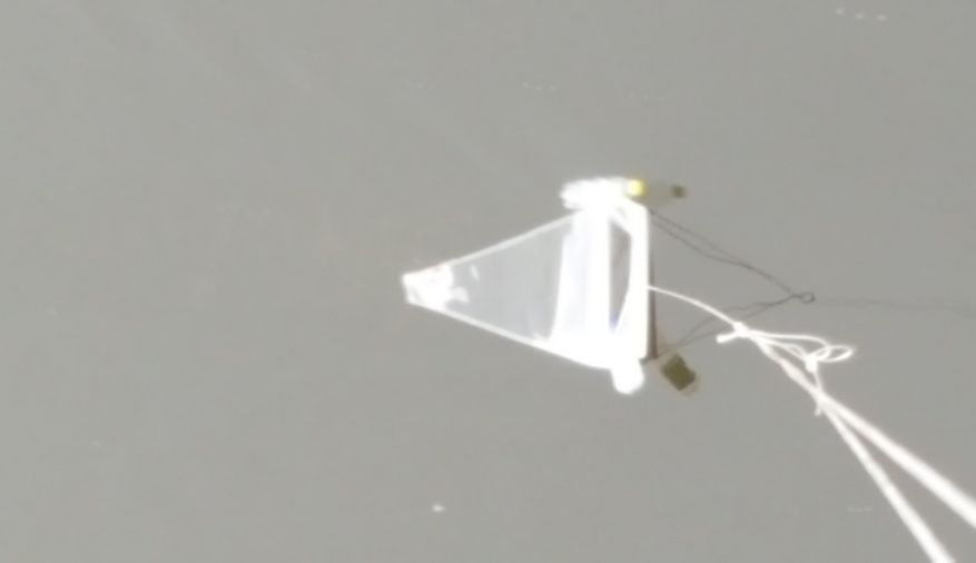 Fundbild der Gruppe Albinus-Gemeinschaftsschule Lauenburg