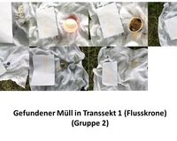 Fundbild der Gruppe Braunschweiger Bären