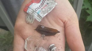 Fundbild der Gruppe 5f SSG Hamm