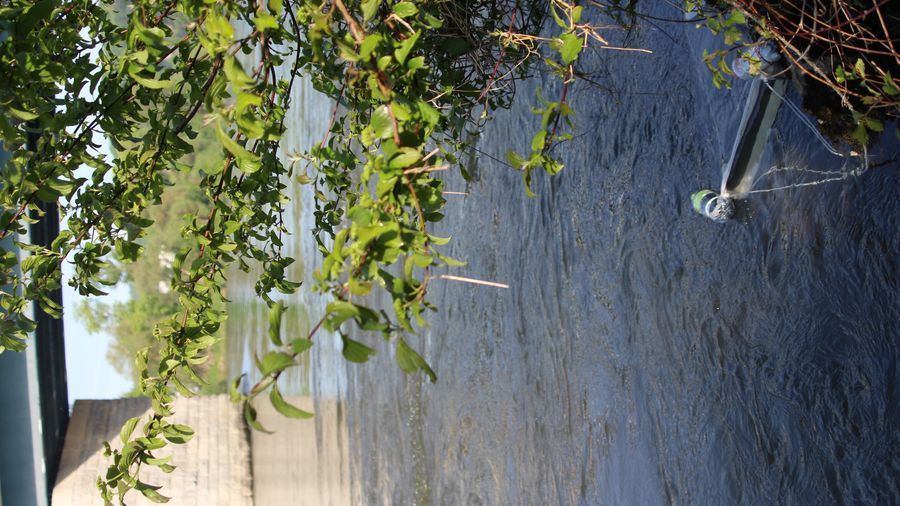 Fundbild der Gruppe FOS Kelheim