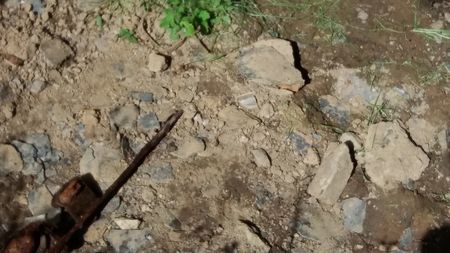 Fundbild der Gruppe Wölfe der Eifel