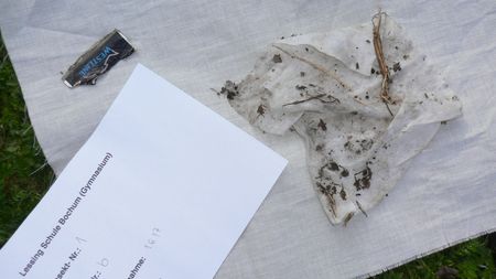 Fundbild der Gruppe Q1 Biologie Lessing Schule