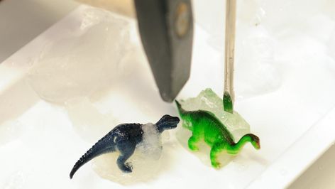 Foto von kleinen Dinosauriern, die mit Werkzeug aus dem Eis befreit werden