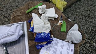 Fundbild der Gruppe BNS "Das N-Team"