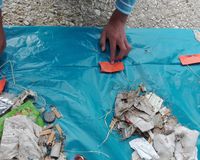 Fundbild der Gruppe Frau Obermeier & Co.