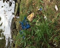 Fundbild der Gruppe Die Eiderpiraten