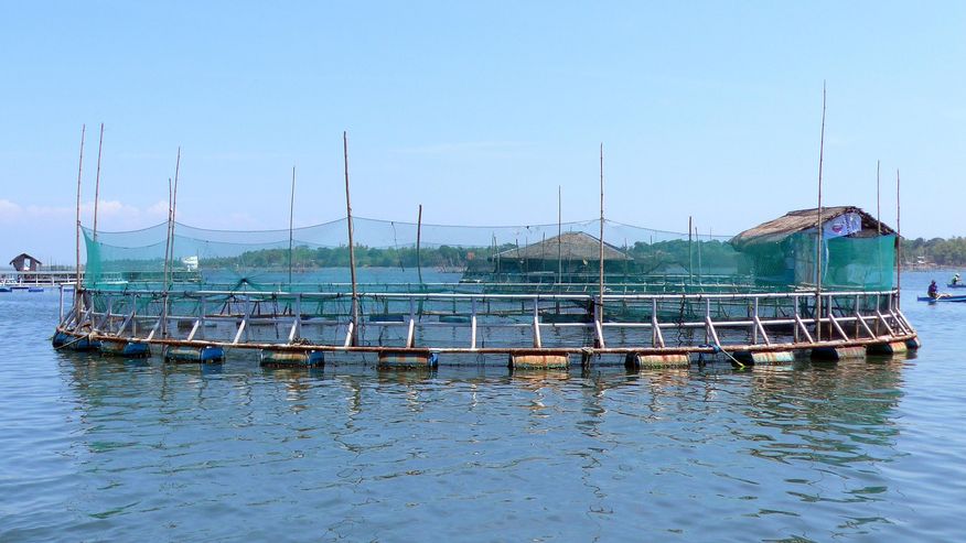 Offenes Aquakultur-Gehege vor Bolinao, Philippinen