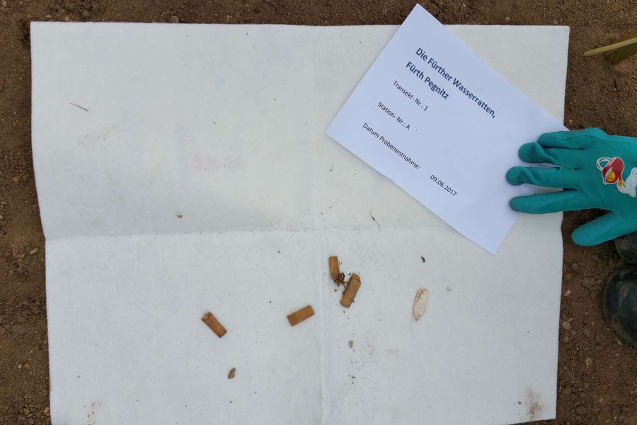 Fundbild der Gruppe Die Fürther Wasserratten