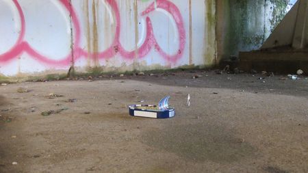 Fundbild der Gruppe Jenaplanschule Rostock