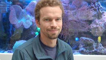 Foto von Dr. Sebastian Ferse, Leibniz-Zentrum für Marine Tropenökologie