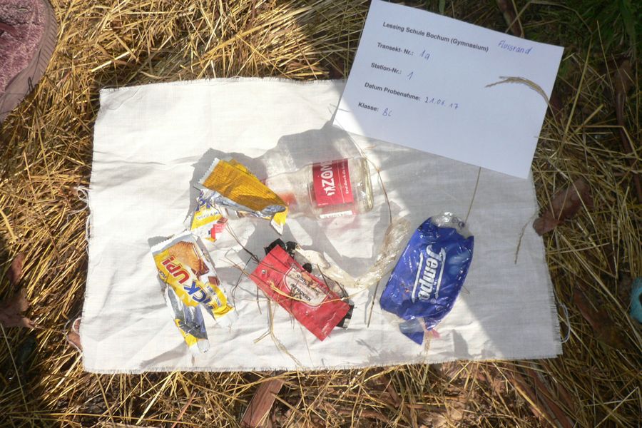 Fundbild der Gruppe Klasse 8c Lessing Schule Bochum