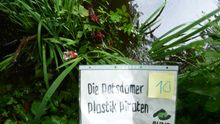 Fundbild der Gruppe Potsdamer Plastik Piraten