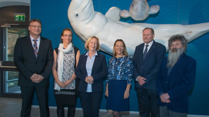 Foto von der Eröffnung der Sonderausstellung „Nutzung der Meere – von der Tiefsee bis in die polaren Regionen“ im MEERESMUSEUM Stralsund vor den originalgetreuen Modellen von Belugawal und Kalb.