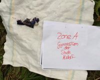 Fundbild der Gruppe Projektkurs Gymnasium Alsdorf