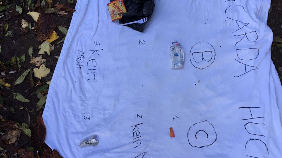 Fundbild der Gruppe Kieler Sprotten