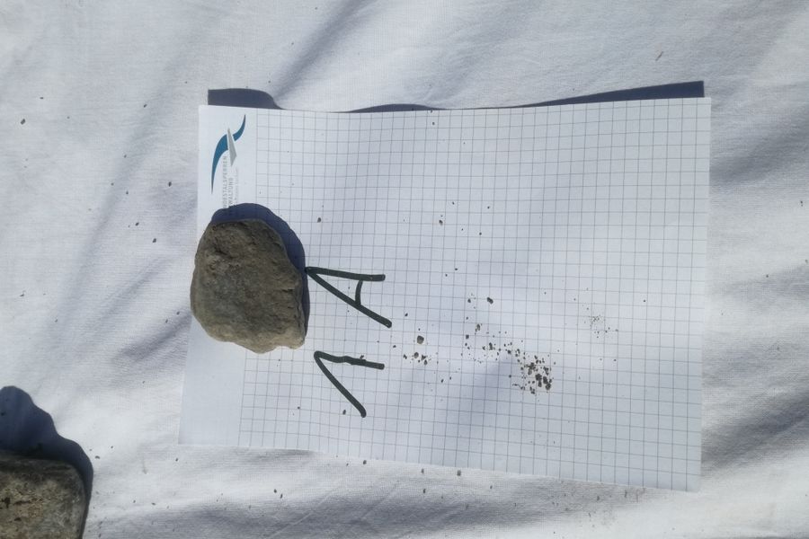 Fundbild der Gruppe GSG 9-4