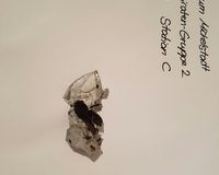 Fundbild der Gruppe Pirates of the Mümling