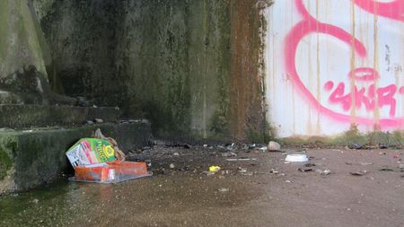 Fundbild der Gruppe Jenaplanschule Rostock