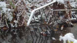 Fundbild der Gruppe Ökologieklasse 6a IGS Buchholz