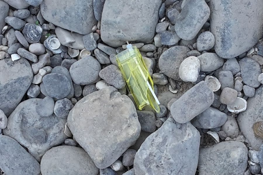 Fundbild der Gruppe Gesamtschule Eifel Wahlpflicht Naturwissenschaften Jahrgang 8