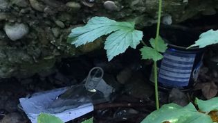 Fundbild der Gruppe Günzpiraten