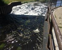 Fundbild der Gruppe Ergänzungsuntersuchung der Schäfchen (Max-Delbrück-Gymnasium)