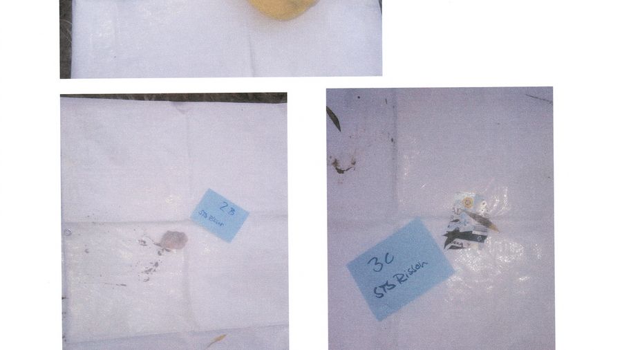 Fundbild der Gruppe Elbpiraten