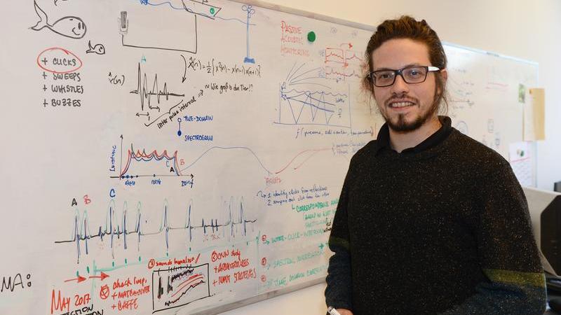 Durch akustische Nachrichtentechnik werden die Laute von Walen und Delfinen erforscht Foto des Ingenieurs Carlos de Obaldia, der durch eine akustische Technik die Laute von Walen und Delfinen erforscht